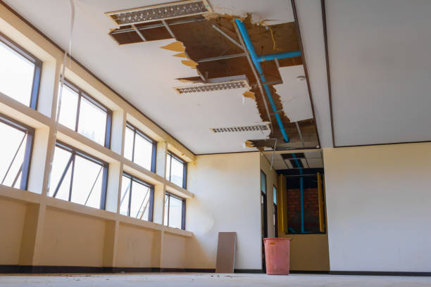 Best Water damage cleanup near me  in Lawnside, NJ