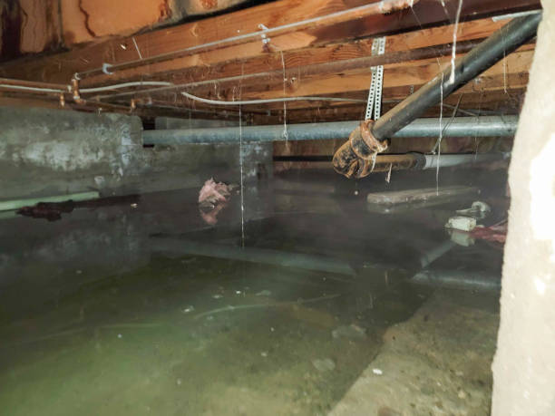 Fire Damage Restoration in Lawnside, NJ