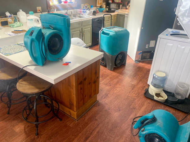 Best Water damage contractors near me  in Lawnside, NJ