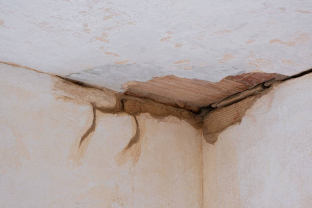 Best Fire Damage Restoration  in Lawnside, NJ