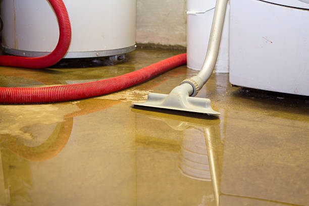 Best Local water damage restoration  in Lawnside, NJ