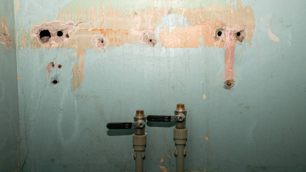 Best Fire Damage Restoration  in Lawnside, NJ