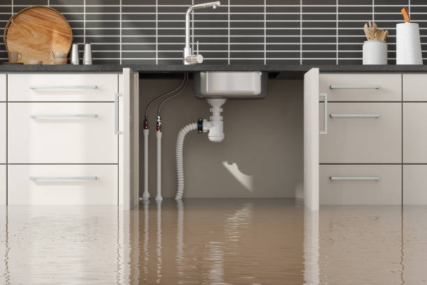 Best Ceiling water damage repair  in Lawnside, NJ